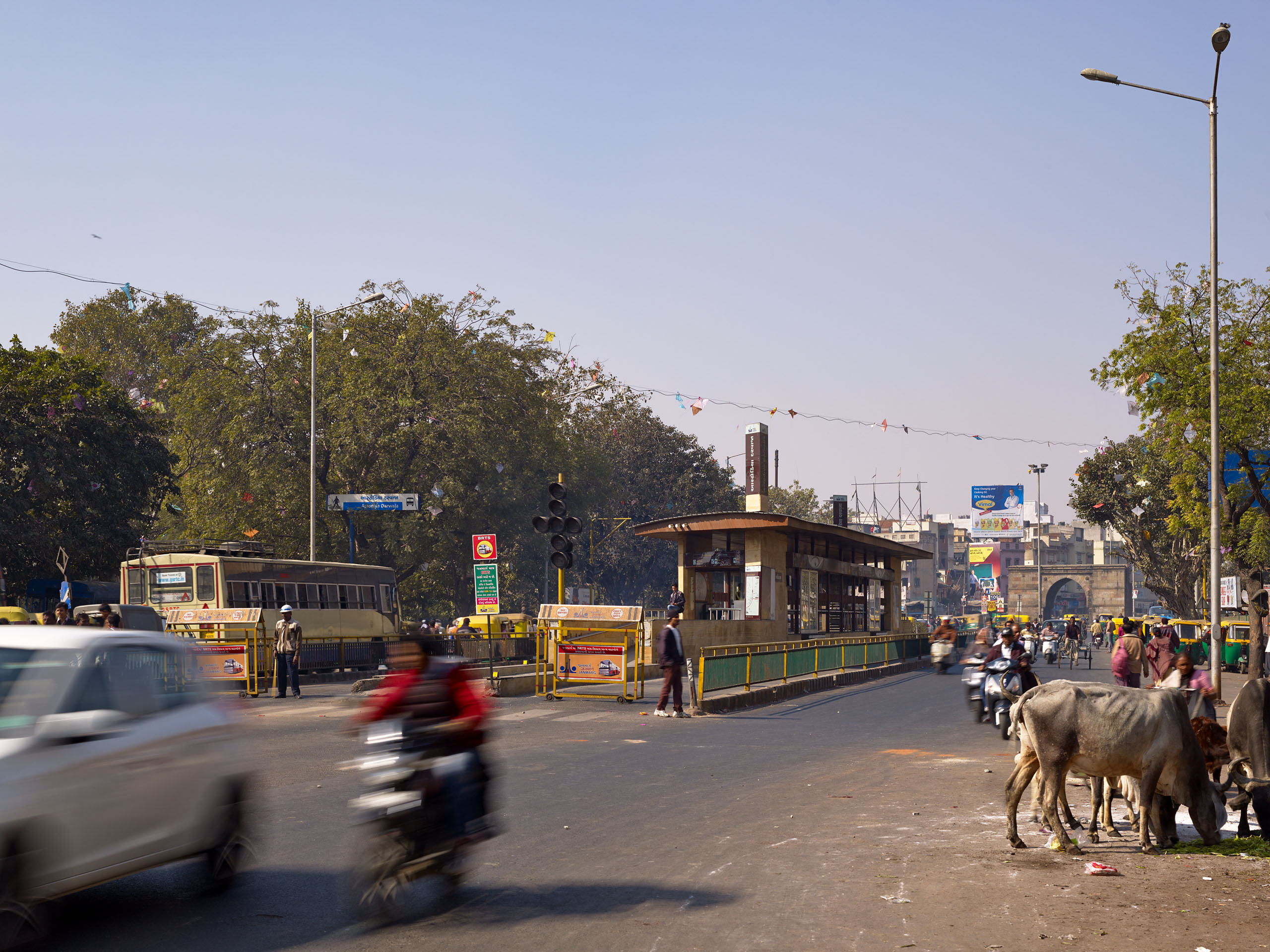 E14492 Alpa 042619 j2560